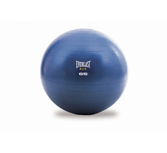 Everlast 2024 fit ball