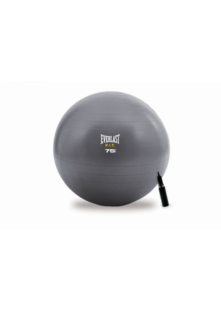 EVERLAST STABILITY BALL &...