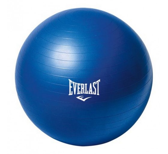 EVERLAST FITNESS BALL +...